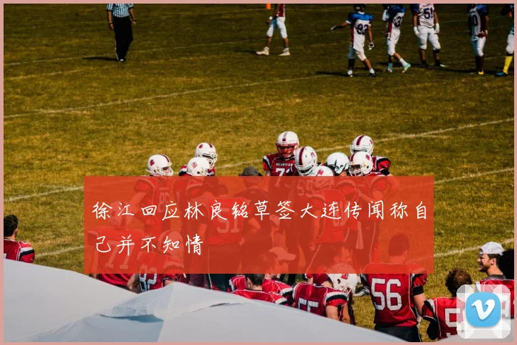 徐江回应林良铭草签大连传闻称自己并不知情