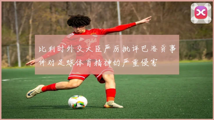 比利时外交大臣严厉批评巴洛贡事件对足球体育精神的严重侵害