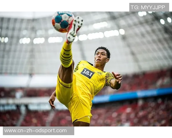 斯文松谈加盟多特:这是我职业生涯中的绝佳机会与完美契合 斯文松谈加盟多特:这是我职业生涯中的绝佳机会与完美契合