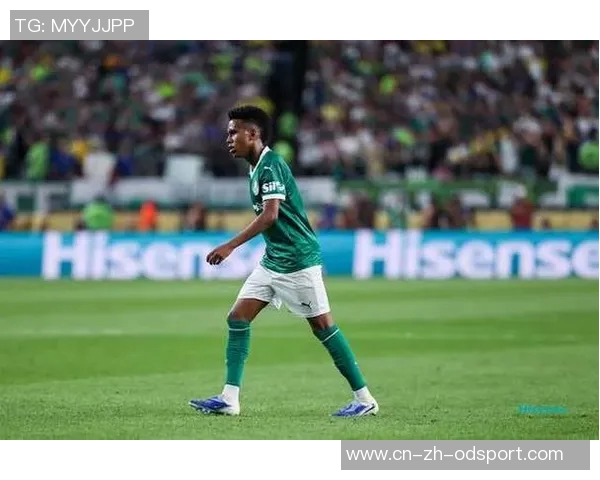 埃斯特旺畅谈安切洛蒂信任与切尔西温暖如家感受 埃斯特旺畅谈安切洛蒂信任与切尔西温暖如家感受