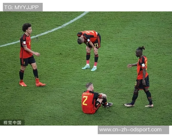 纳因戈兰谈与加西亚教练的良好关系及比利时晋级世界杯的信心