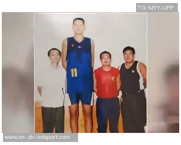 历史上身高2米26的巨人谁最强文班或成第一唯有姚明场均得分超十分