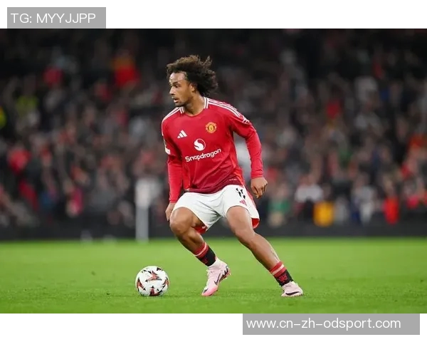 丹麦主帅赞霍伊伦在那不勒斯表现出色队友们乐于给予支持与帮助 丹麦主帅赞霍伊伦在那不勒斯表现出色队友们乐于给予支持与帮助