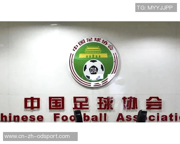 体坛动态:足协领导亲自会晤邵佳一加班制定重要报告推动改革 体坛动态:足协领导亲自会晤邵佳一加班制定重要报告推动改革