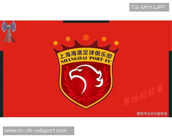 媒体人分析亚冠与联赛脱节现象强调职业联赛应优先服务国家队发展 媒体人分析亚冠与联赛脱节现象强调职业联赛应优先服务国家队发展